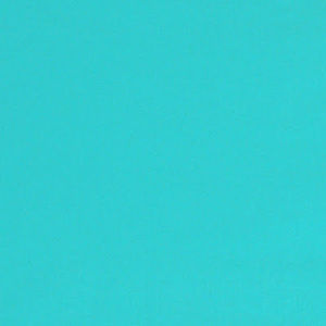 Meet your Posher, Ella